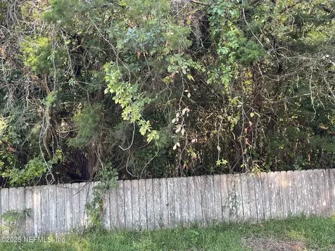3159 Dothan Road Green Cove Springs FL 32043