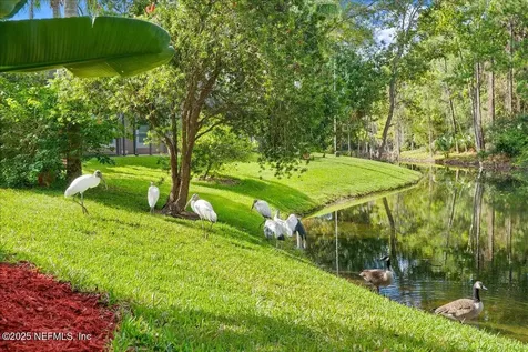 2182 Sound Overlook Drive W Jacksonville FL 32224