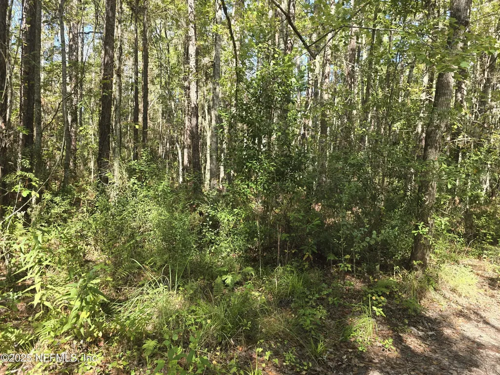 4122 Becky Street Middleburg FL 32068