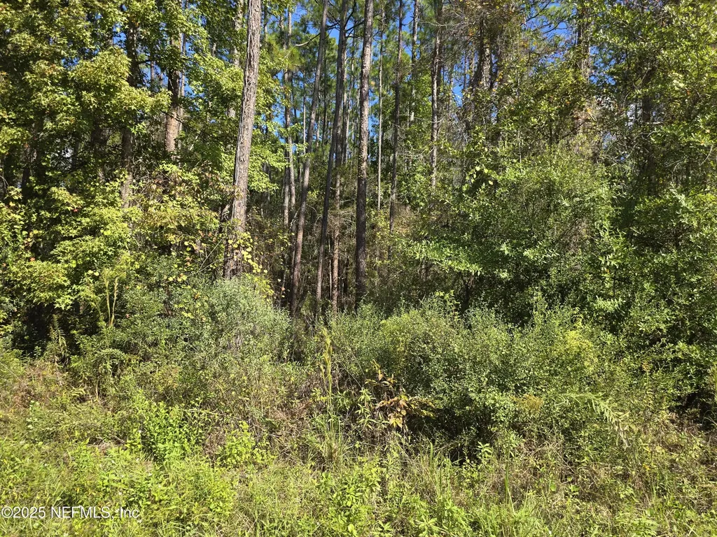 4122 Becky Street Middleburg FL 32068