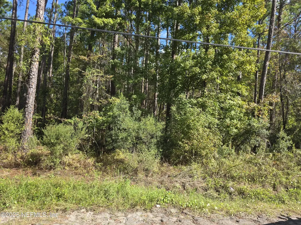 4122 Becky Street Middleburg FL 32068
