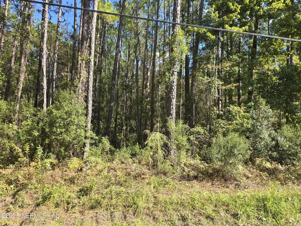 4122 Becky Street Middleburg FL 32068