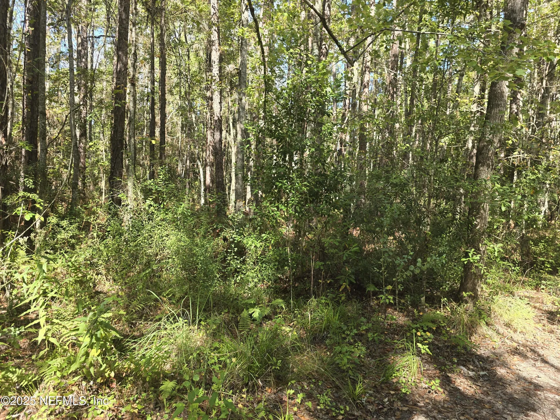 4122 Becky Street Middleburg FL 32068