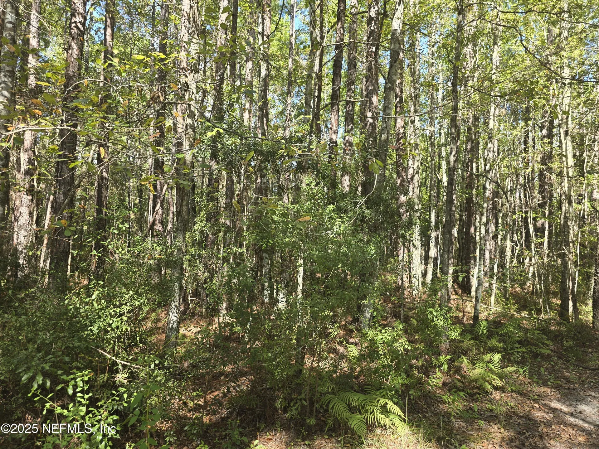 4122 Becky Street Middleburg FL 32068