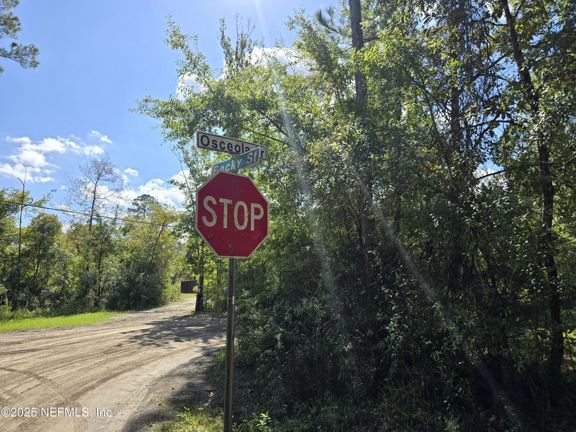 4122 Becky Street Middleburg FL 32068
