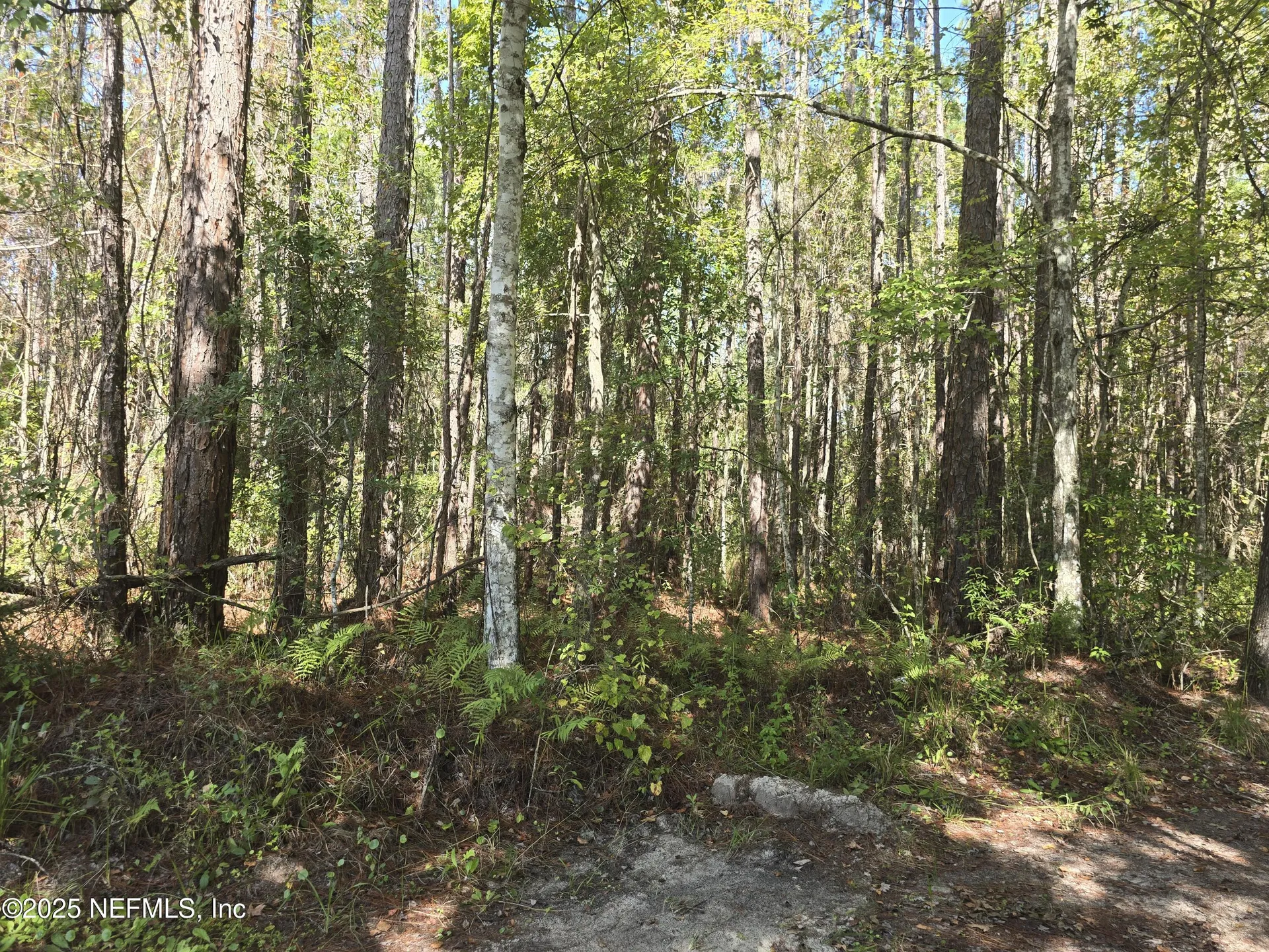 4122 Becky Street Middleburg FL 32068