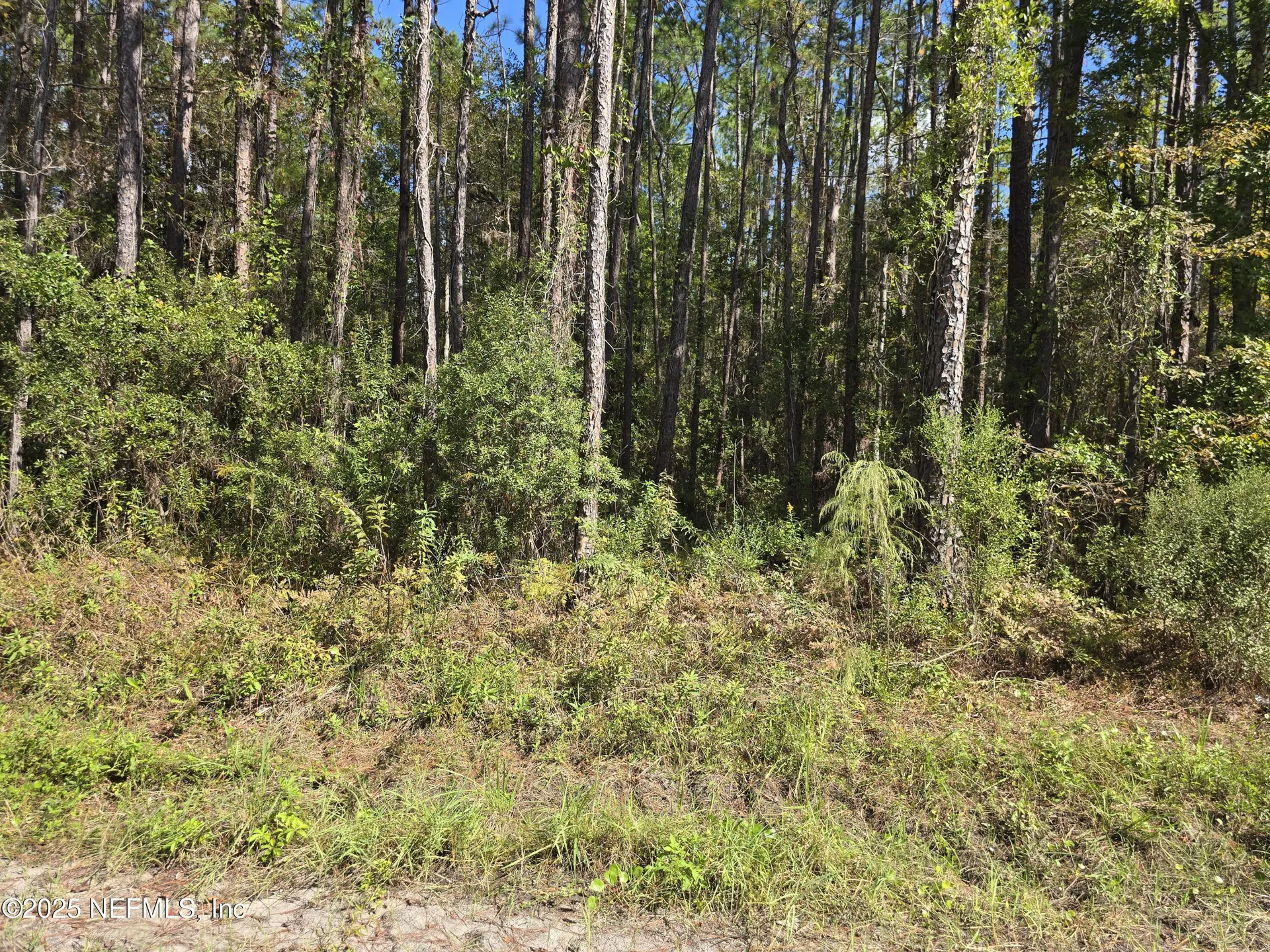 4122 Becky Street Middleburg FL 32068