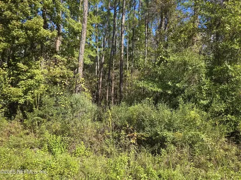4122 Becky Street Middleburg FL 32068