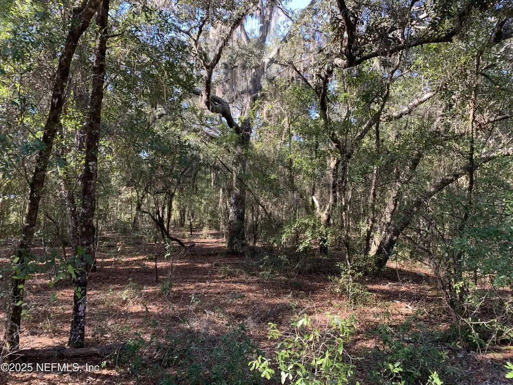 000 Drayton Avenue Interlachen FL 32148