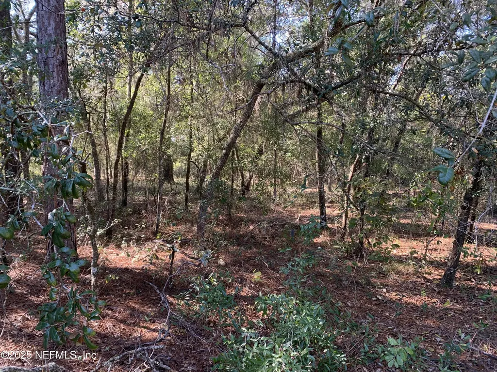 000 Drayton Avenue Interlachen FL 32148