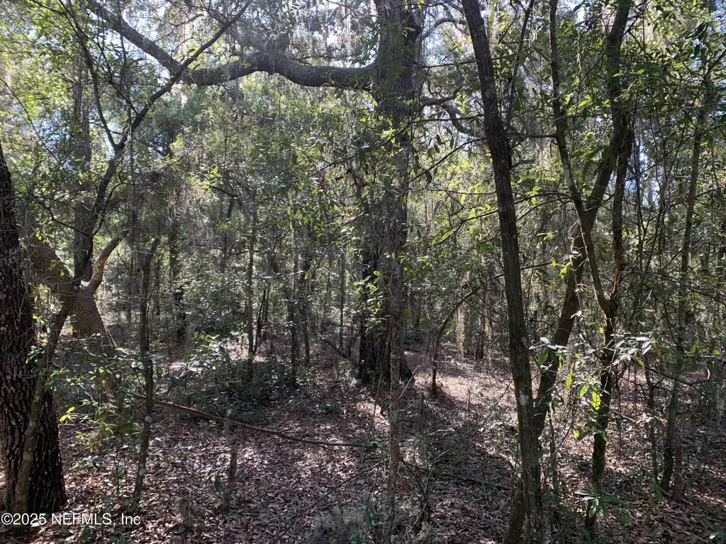 000 Drayton Avenue Interlachen FL 32148