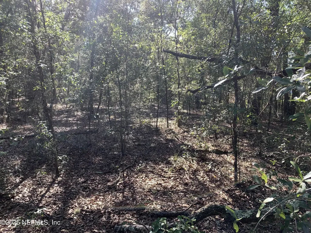 000 Drayton Avenue Interlachen FL 32148