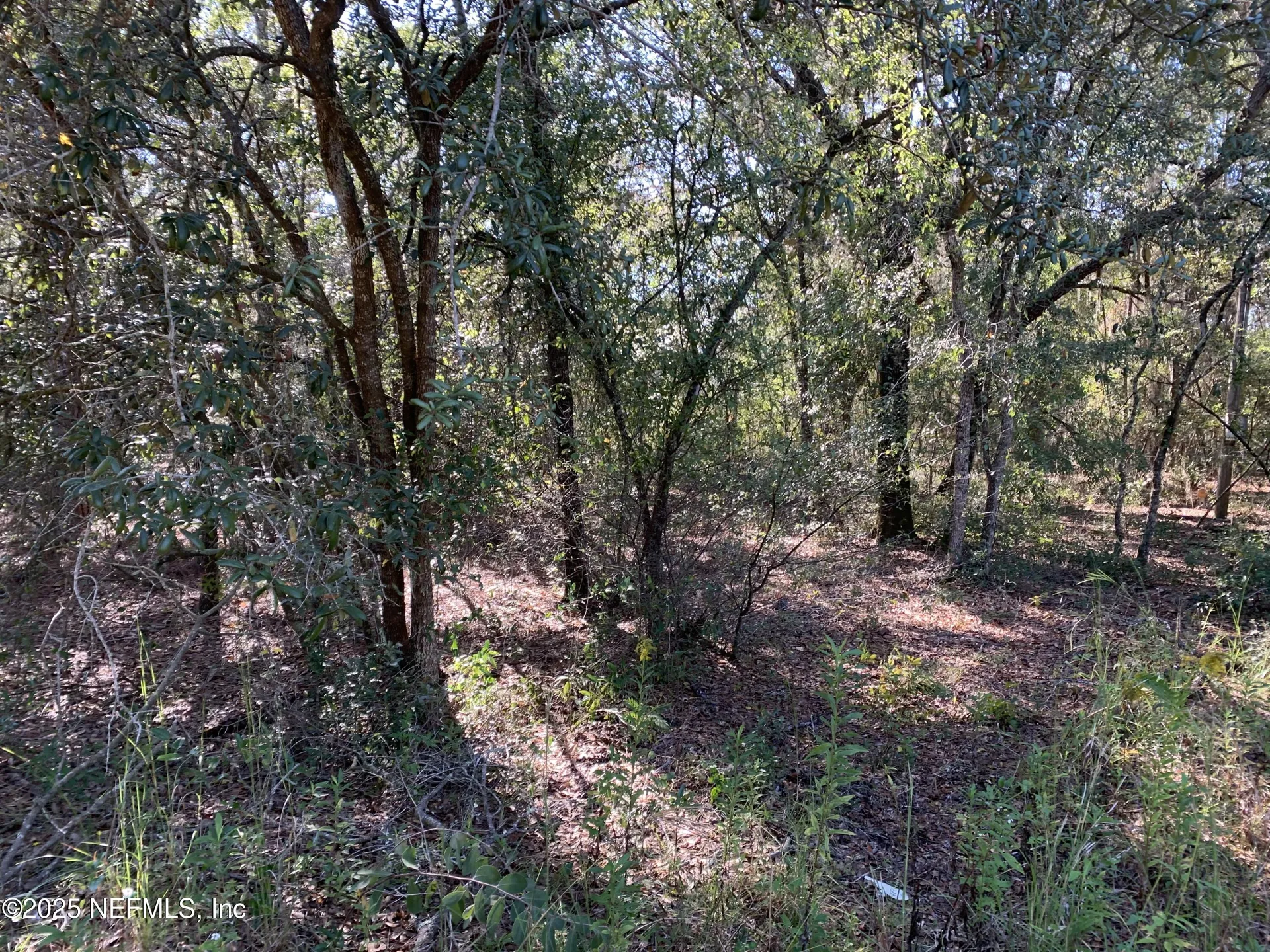 000 Drayton Avenue Interlachen FL 32148