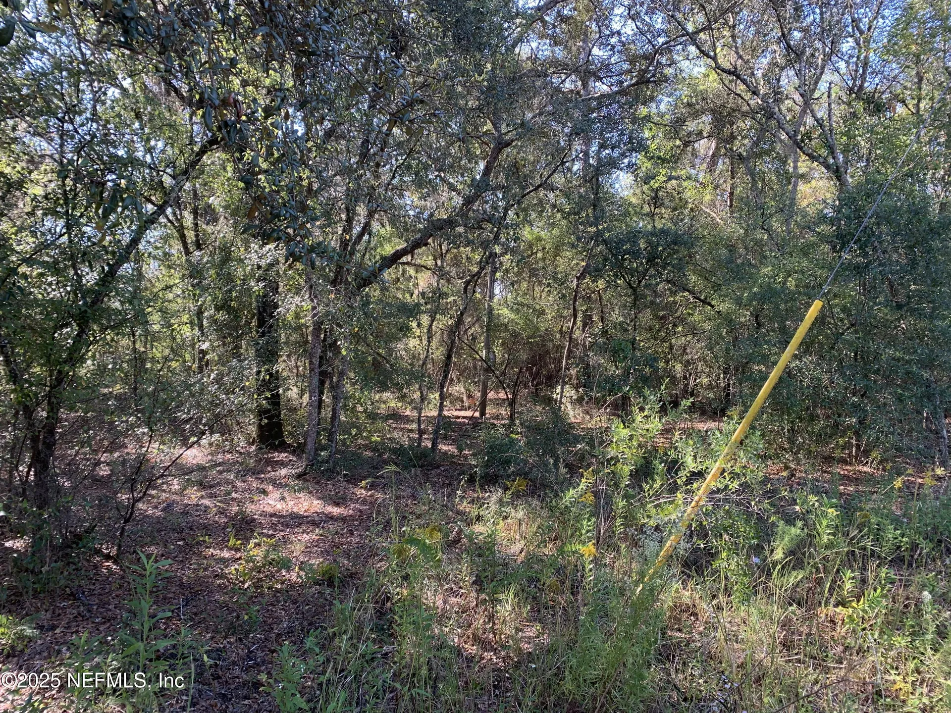 000 Drayton Avenue Interlachen FL 32148