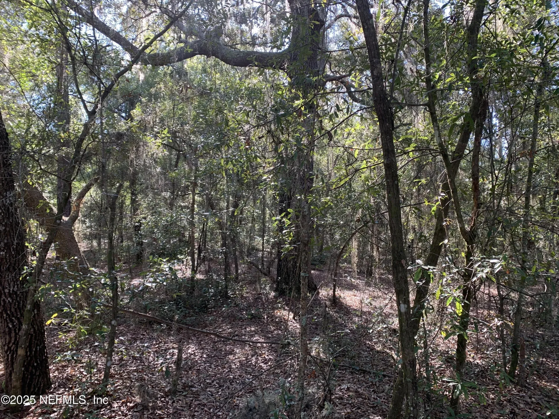 000 Drayton Avenue Interlachen FL 32148