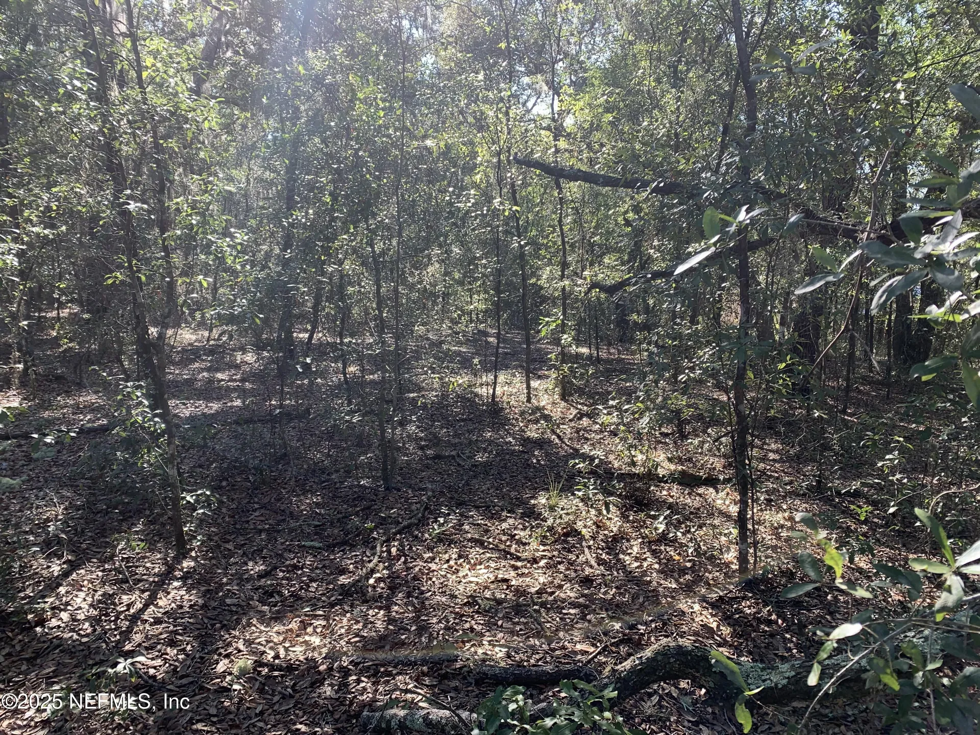 000 Drayton Avenue Interlachen FL 32148
