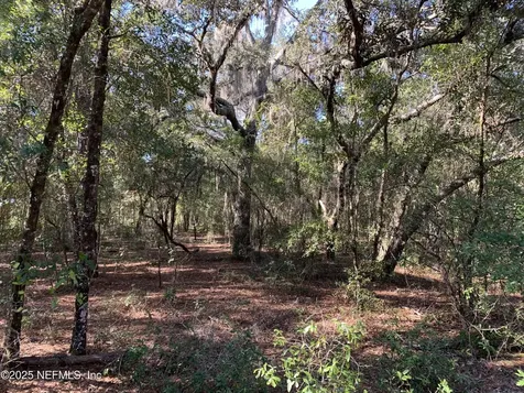 000 Drayton Avenue Interlachen FL 32148