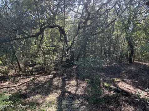 000 Drayton Avenue Interlachen FL 32148