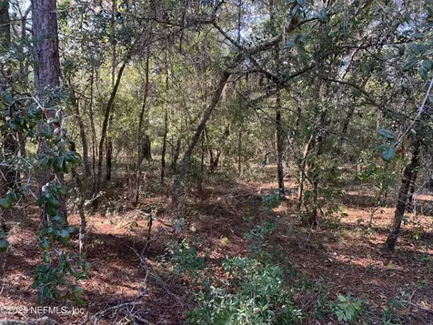 000 Drayton Avenue Interlachen FL 32148