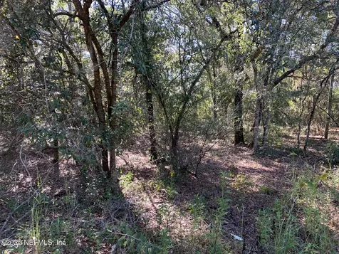 000 Drayton Avenue Interlachen FL 32148