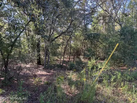 000 Drayton Avenue Interlachen FL 32148