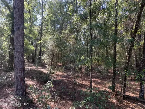 000 Drayton Avenue Interlachen FL 32148
