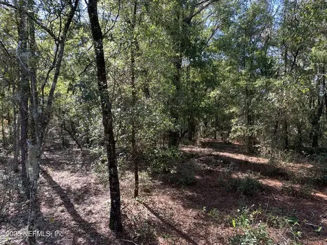000 Drayton Avenue Interlachen FL 32148