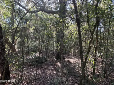 000 Drayton Avenue Interlachen FL 32148