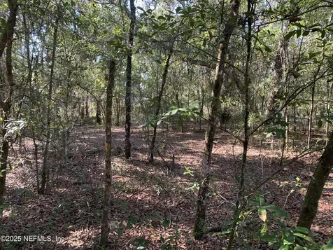 000 Drayton Avenue Interlachen FL 32148