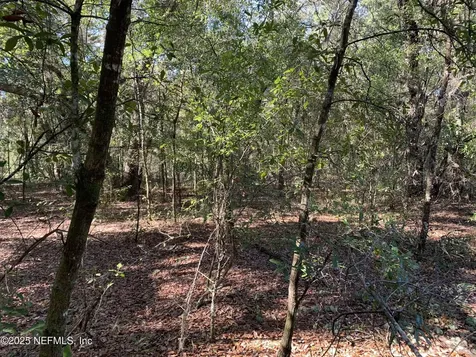 000 Drayton Avenue Interlachen FL 32148