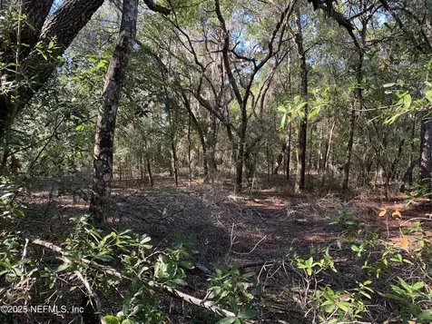 000 Drayton Avenue Interlachen FL 32148