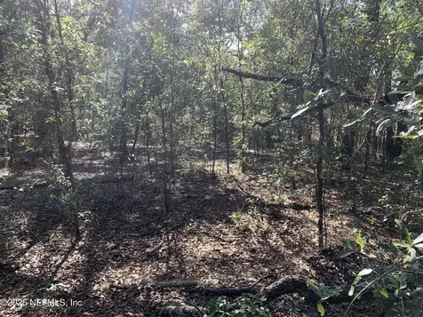 000 Drayton Avenue Interlachen FL 32148