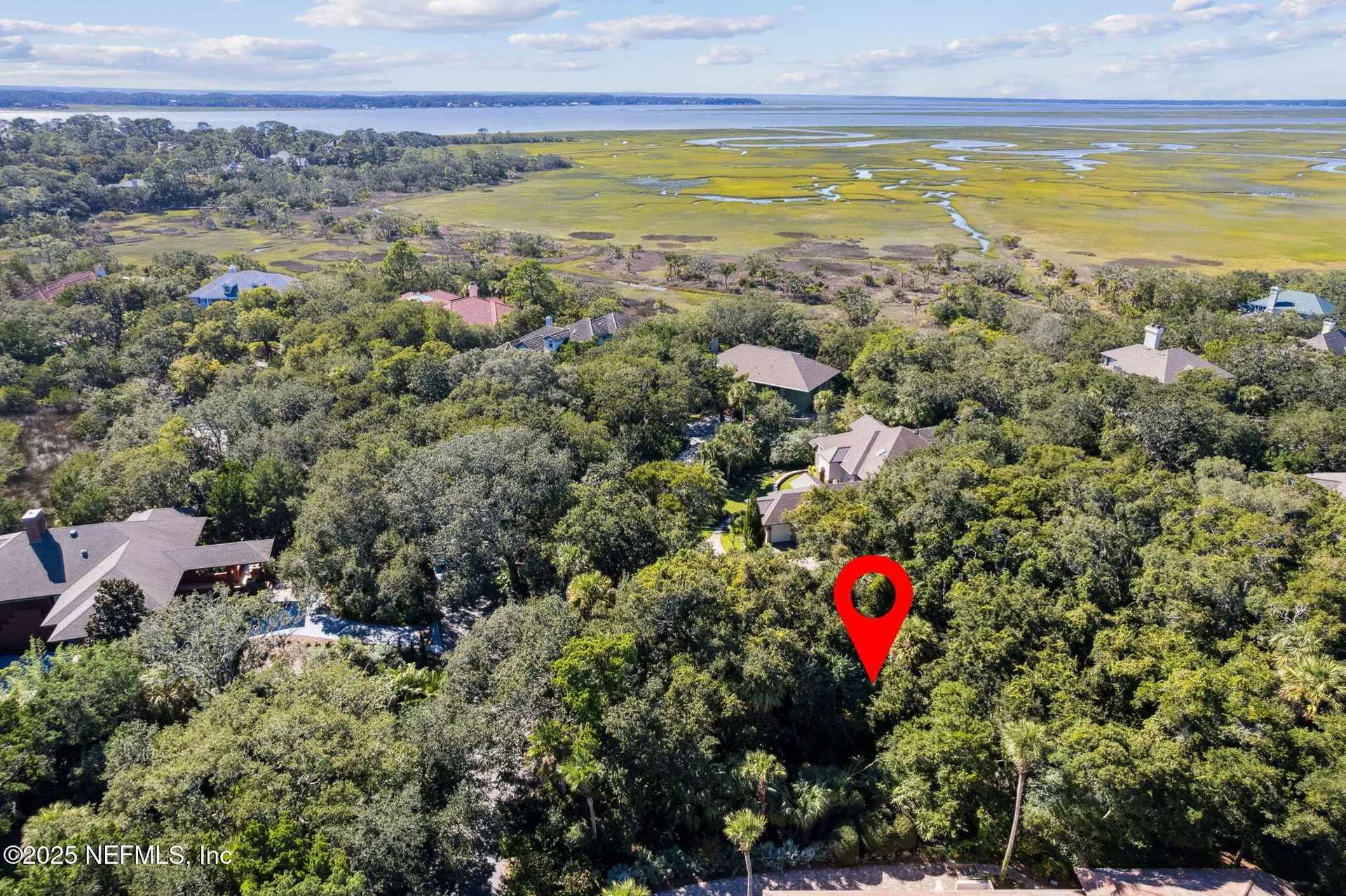 3 Juniper Court Fernandina Beach FL 32034