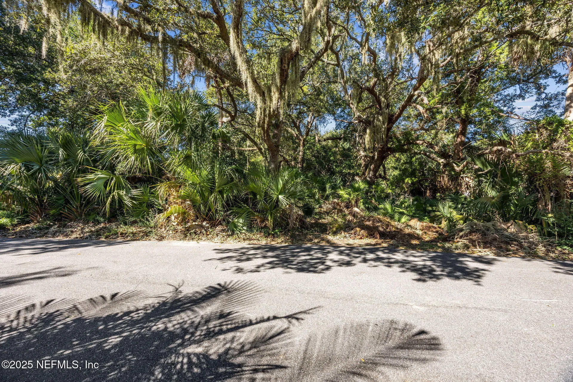 3 Juniper Court Fernandina Beach FL 32034