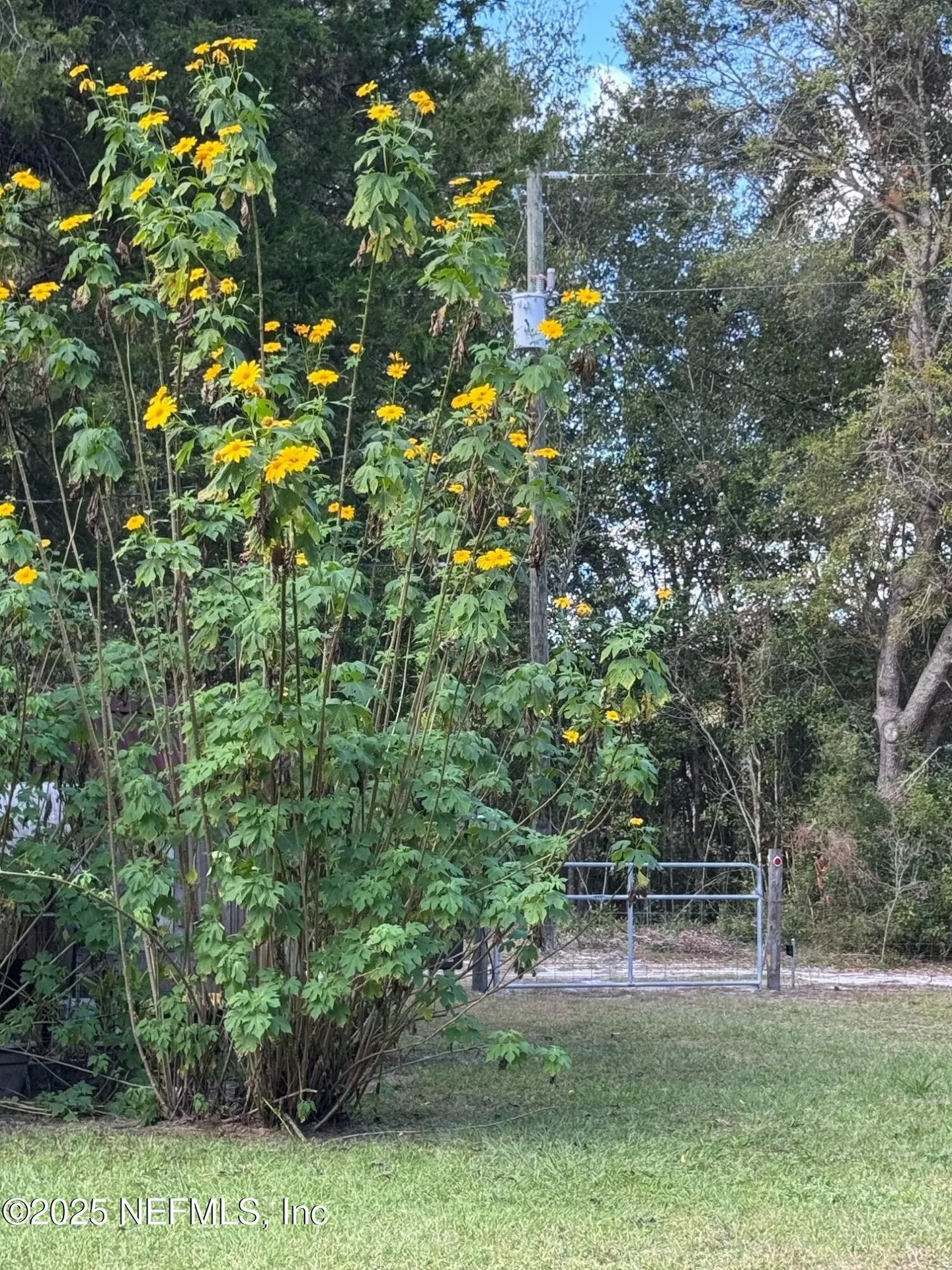 229 Davis Lake Road Palatka FL 32177