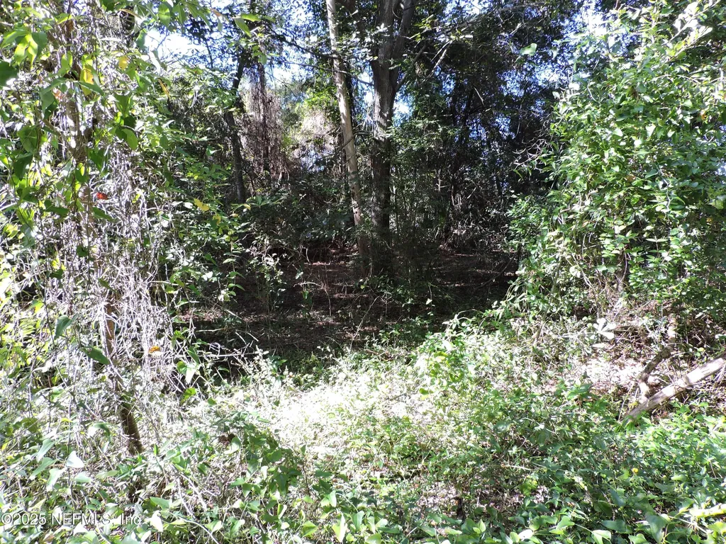 2955/2935 New Berlin Road Jacksonville FL 32226