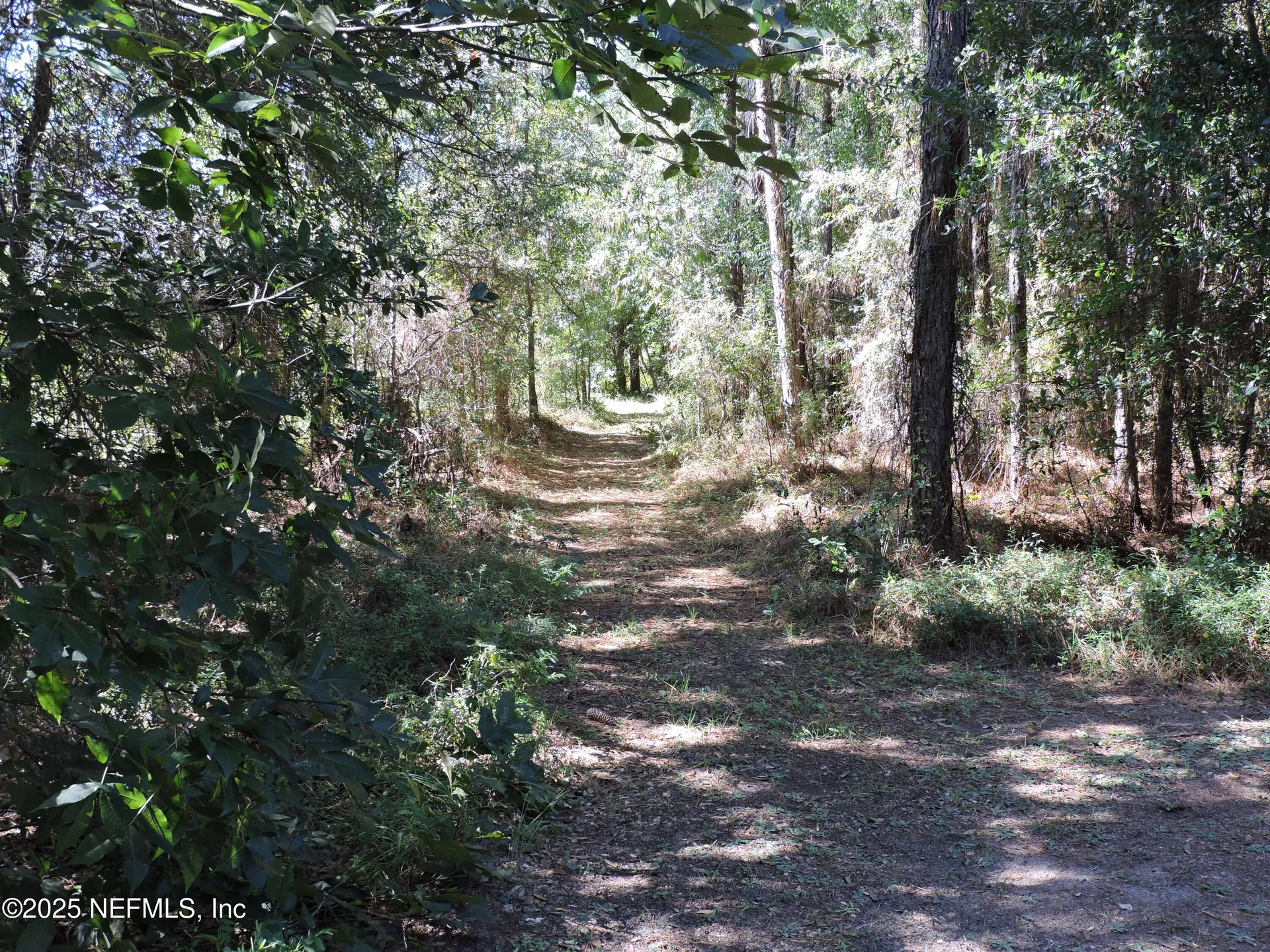 2955/2935 New Berlin Road Jacksonville FL 32226