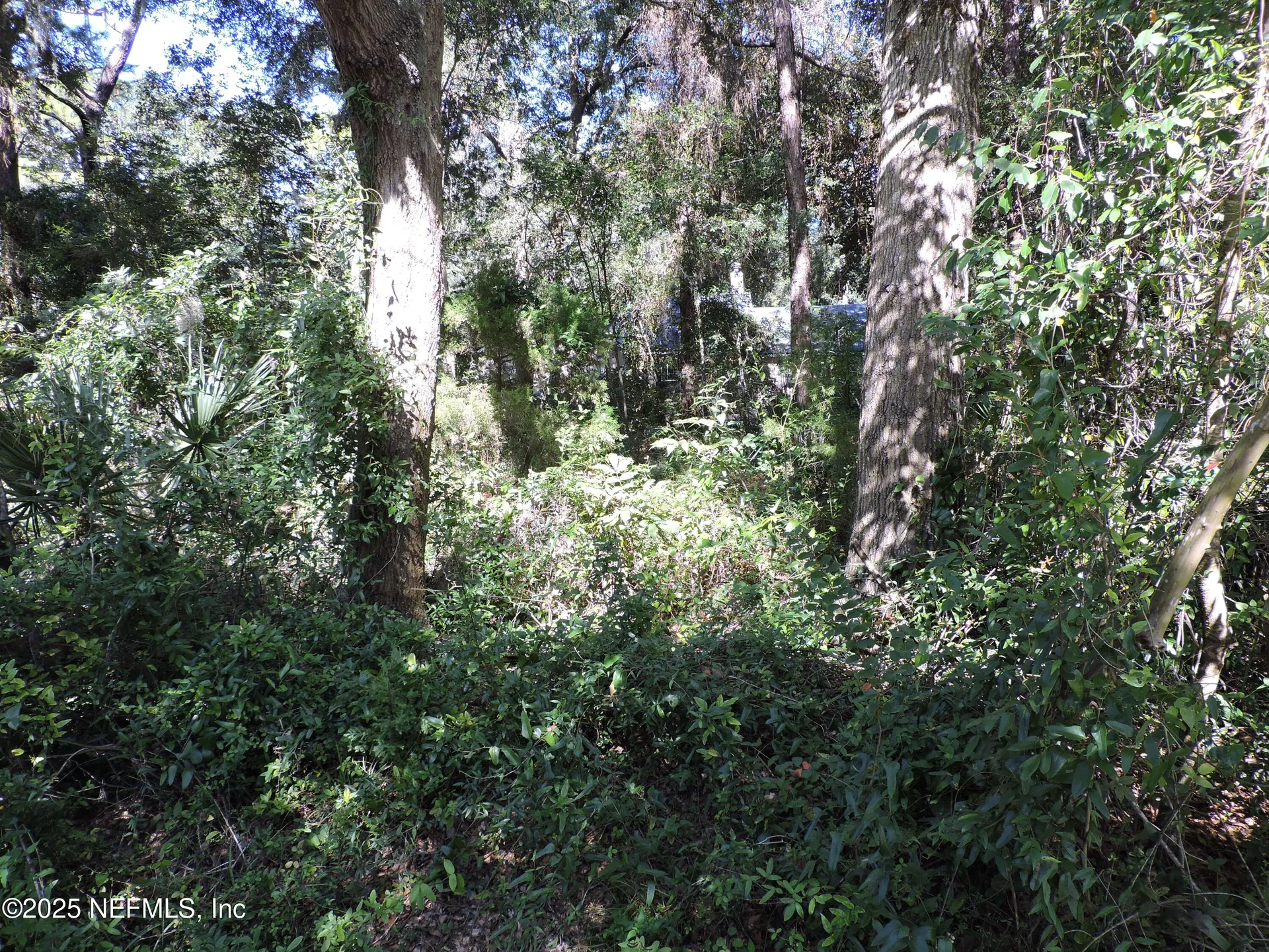 2955/2935 New Berlin Road Jacksonville FL 32226