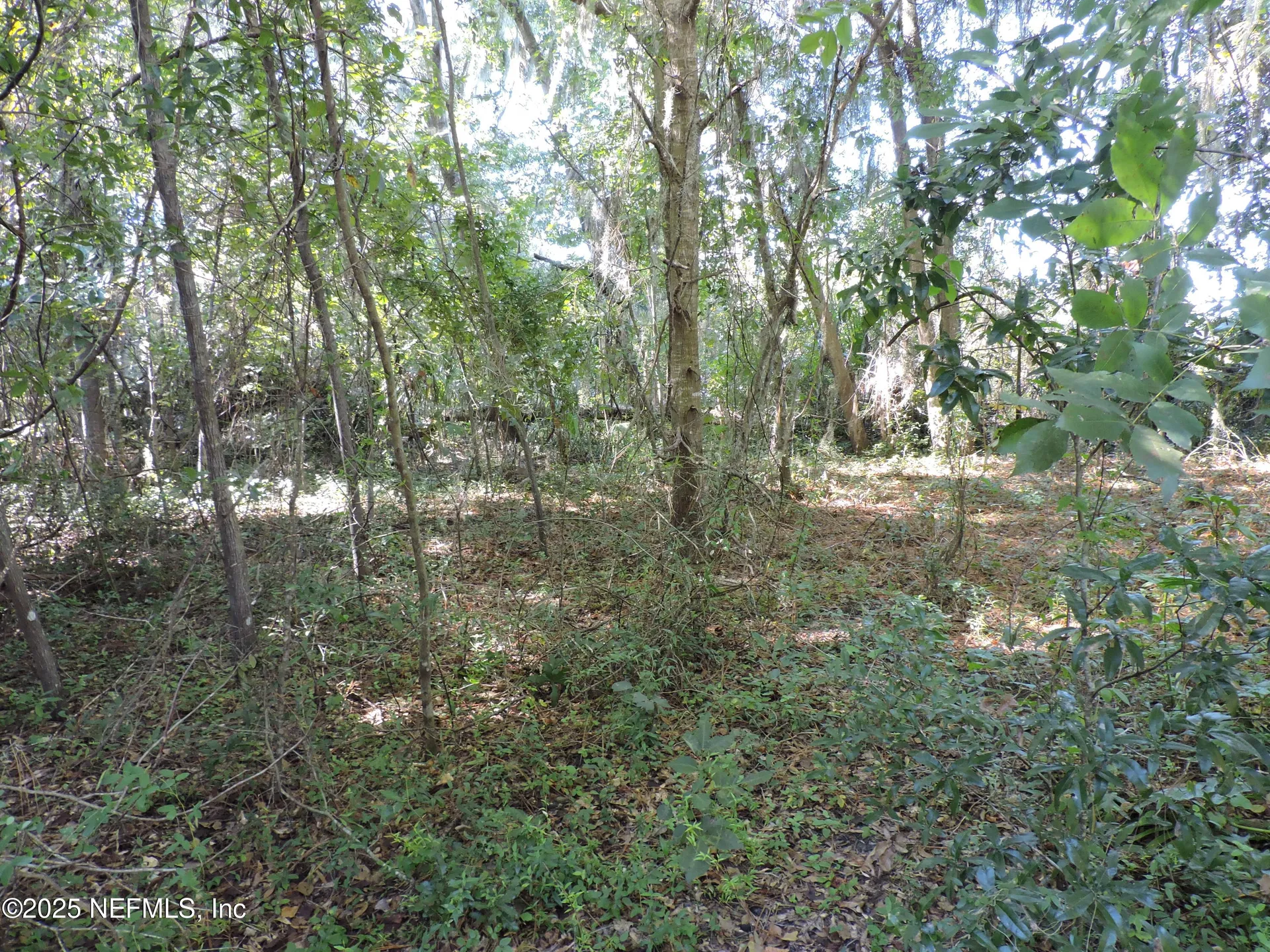 2955/2935 New Berlin Road Jacksonville FL 32226