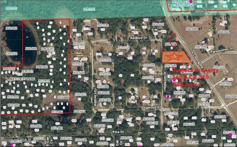 345 County Road 315 Interlachen FL 32148