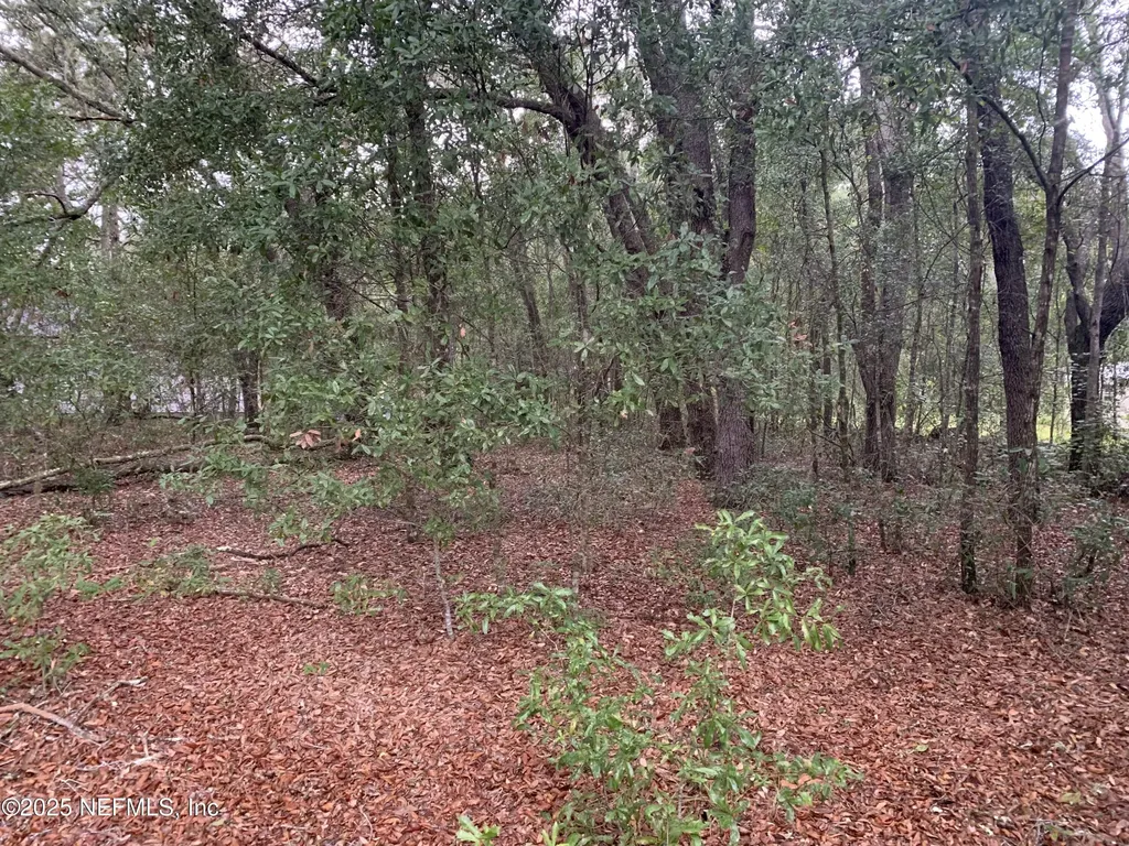 0250 Lenore Avenue Interlachen FL 32148