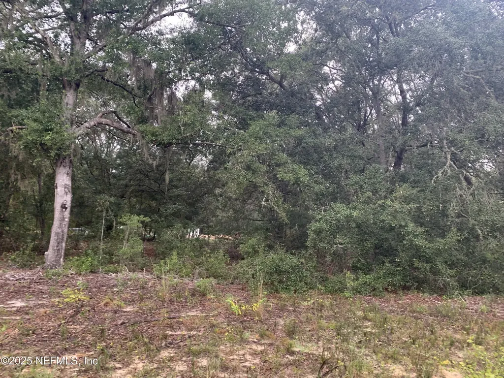 0250 Lenore Avenue Interlachen FL 32148