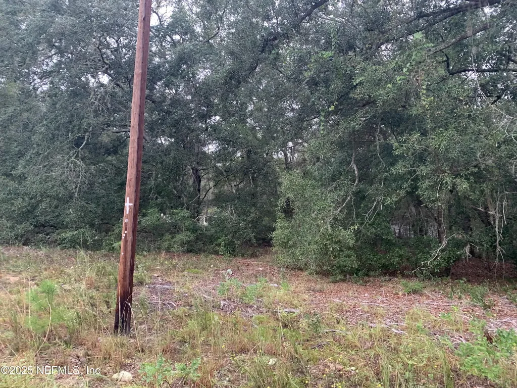 0250 Lenore Avenue Interlachen FL 32148