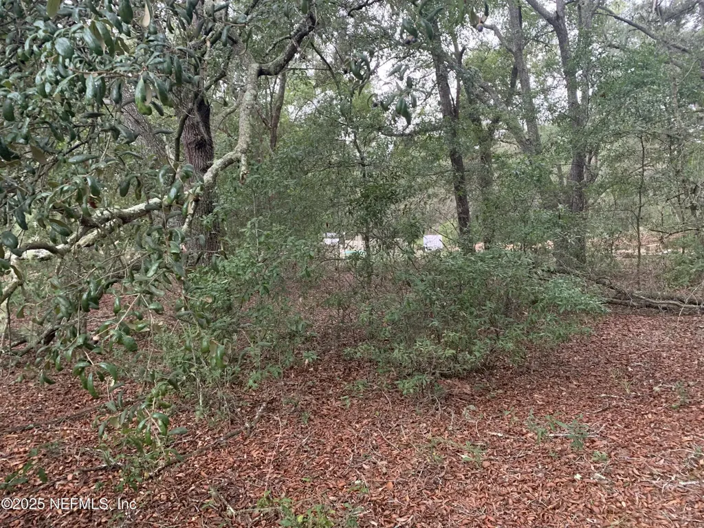 0250 Lenore Avenue Interlachen FL 32148