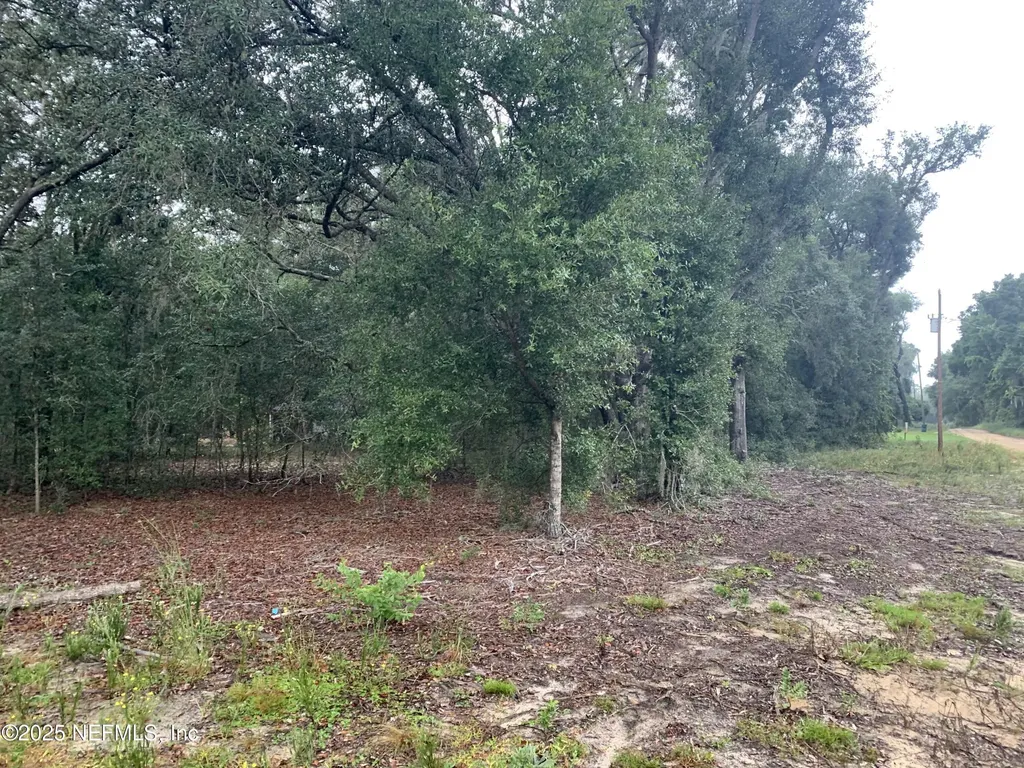0250 Lenore Avenue Interlachen FL 32148