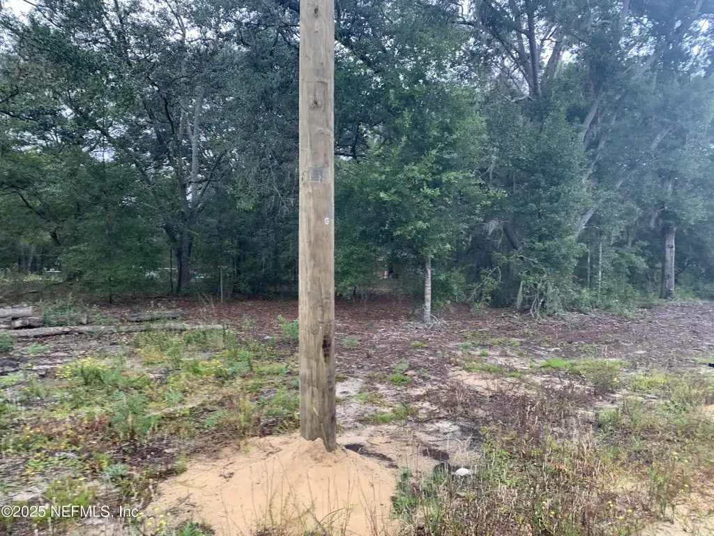 0250 Lenore Avenue Interlachen FL 32148