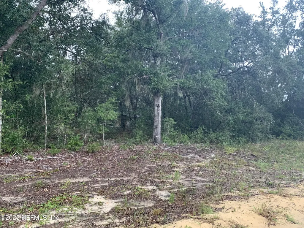 0250 Lenore Avenue Interlachen FL 32148