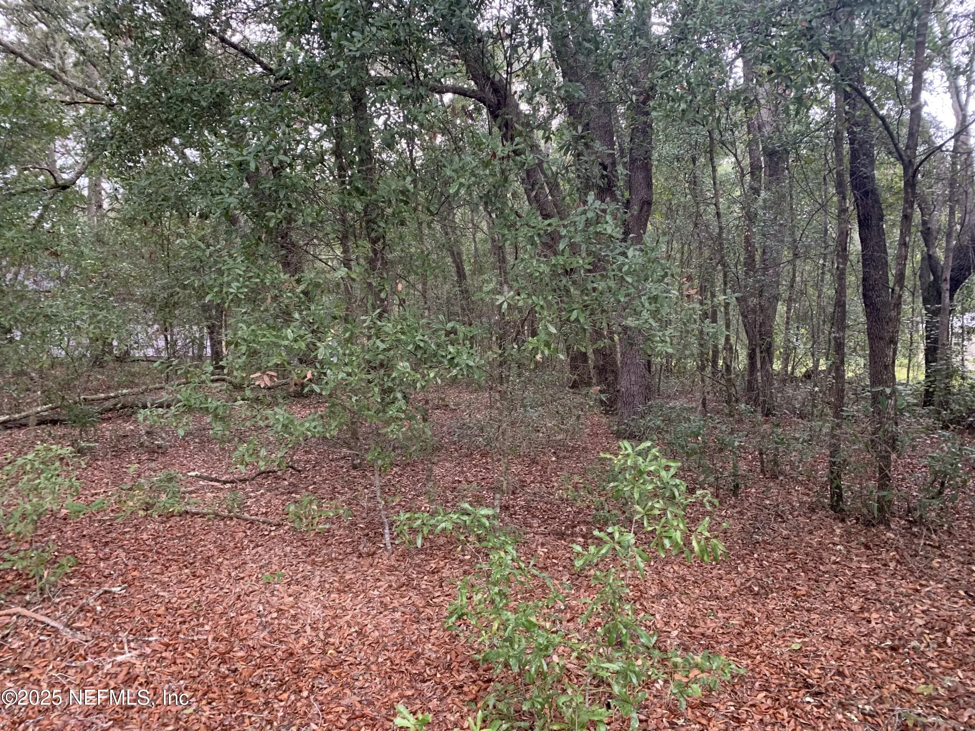 0250 Lenore Avenue Interlachen FL 32148