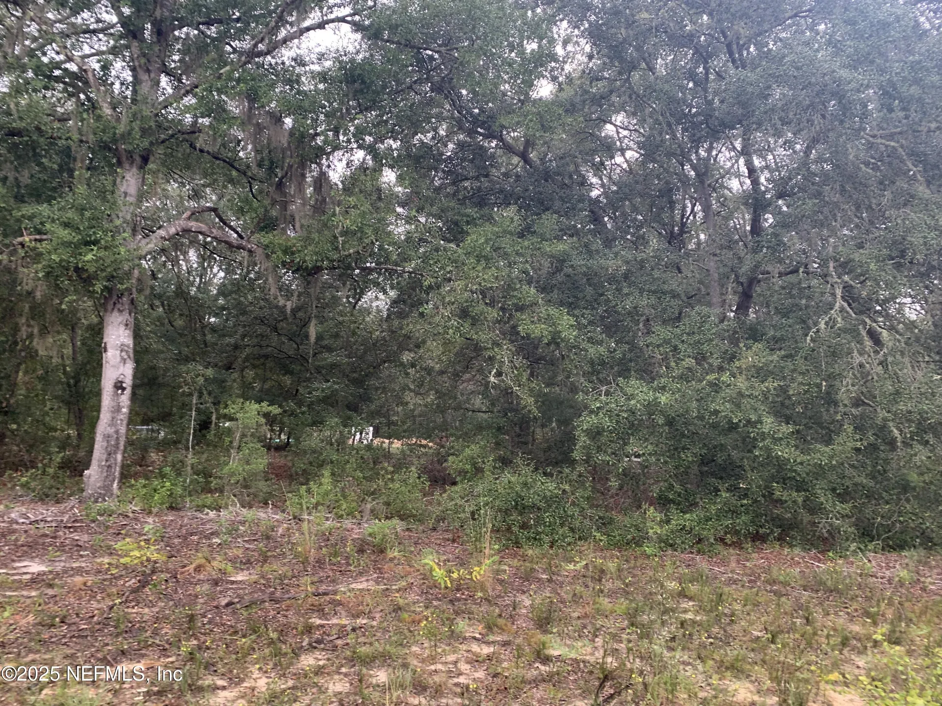0250 Lenore Avenue Interlachen FL 32148