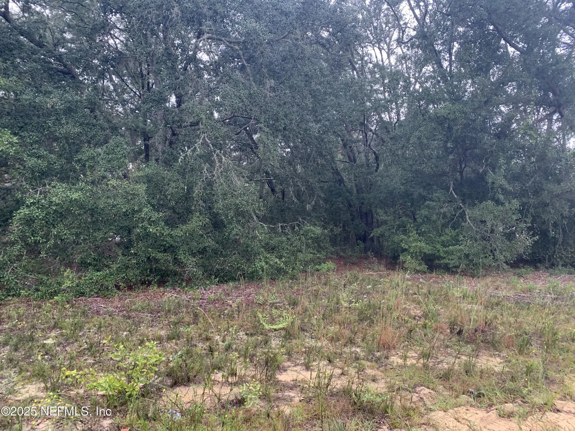 0250 Lenore Avenue Interlachen FL 32148